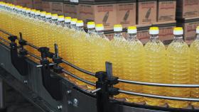 Американский производитель подсолнечного масла продаёт бизнес в России